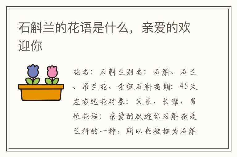 石斛兰的花语是什么，亲爱的欢迎你