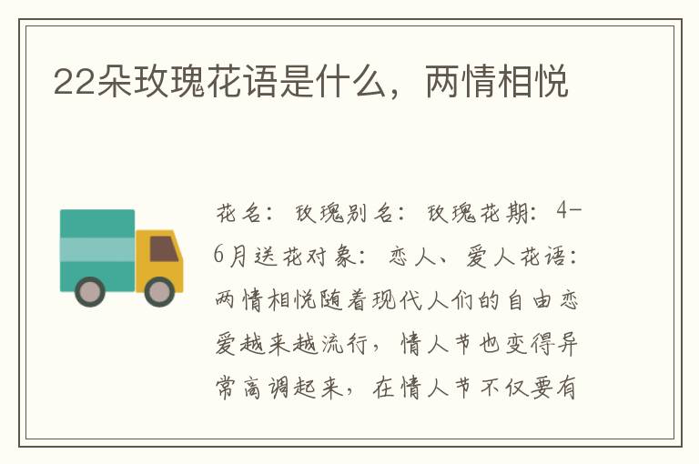 22朵玫瑰花语是什么，两情相悦