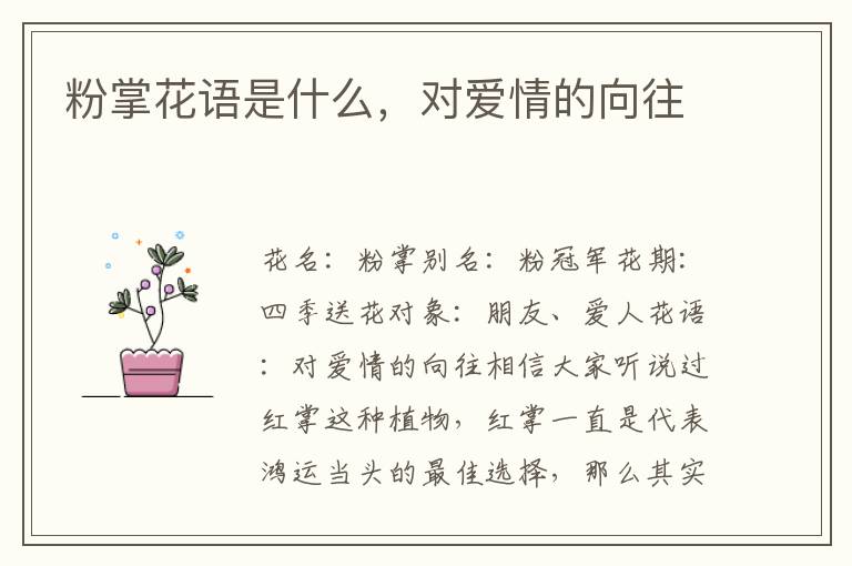 粉掌花语是什么，对爱情的向往