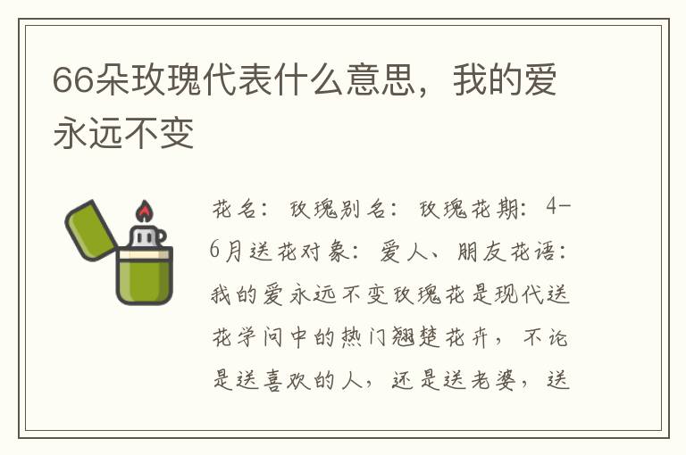 66朵玫瑰代表什么意思，我的爱永远不变