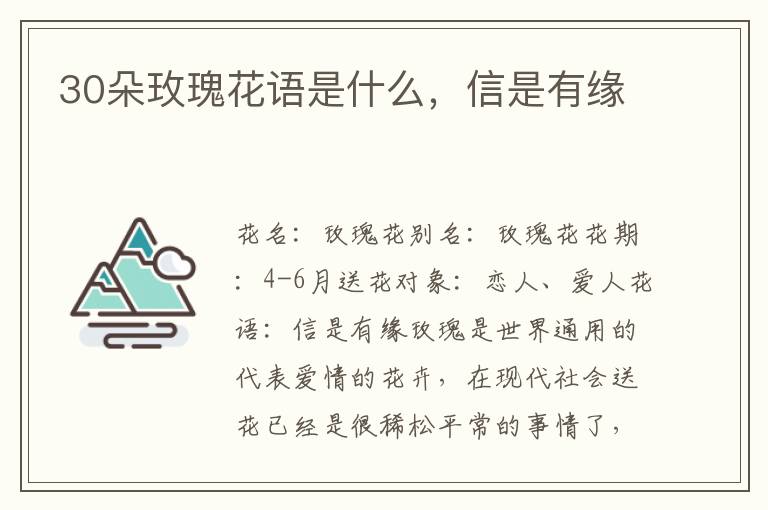 30朵玫瑰花语是什么，信是有缘