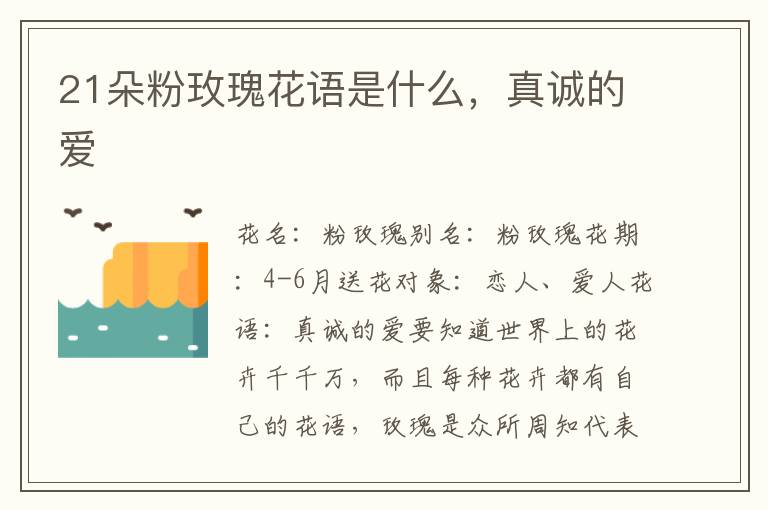 21朵粉玫瑰花语是什么，真诚的爱
