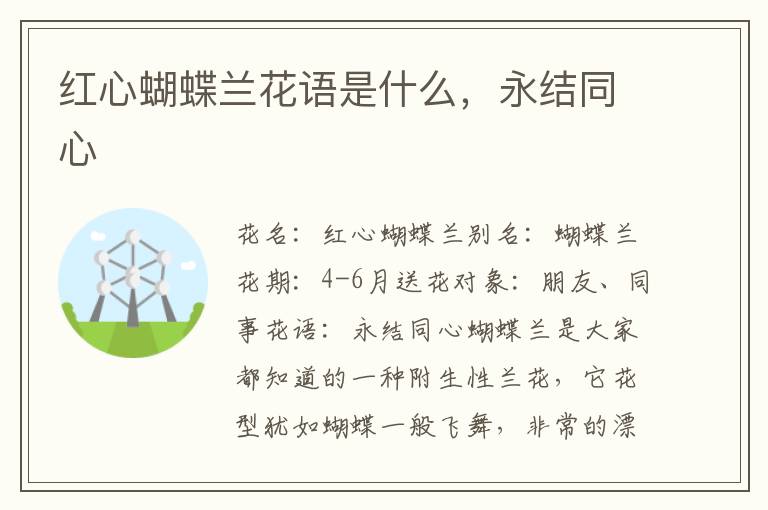 红心蝴蝶兰花语是什么，永结同心