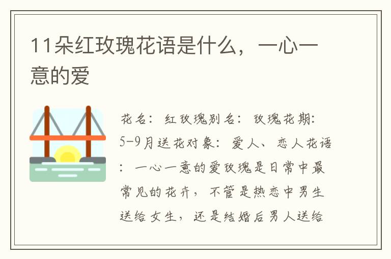 11朵红玫瑰花语是什么，一心一意的爱