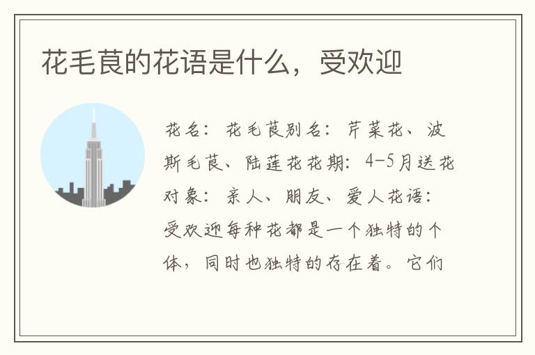 花毛茛的花语是什么，受欢迎
