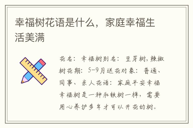幸福树花语是什么，家庭幸福生活美满