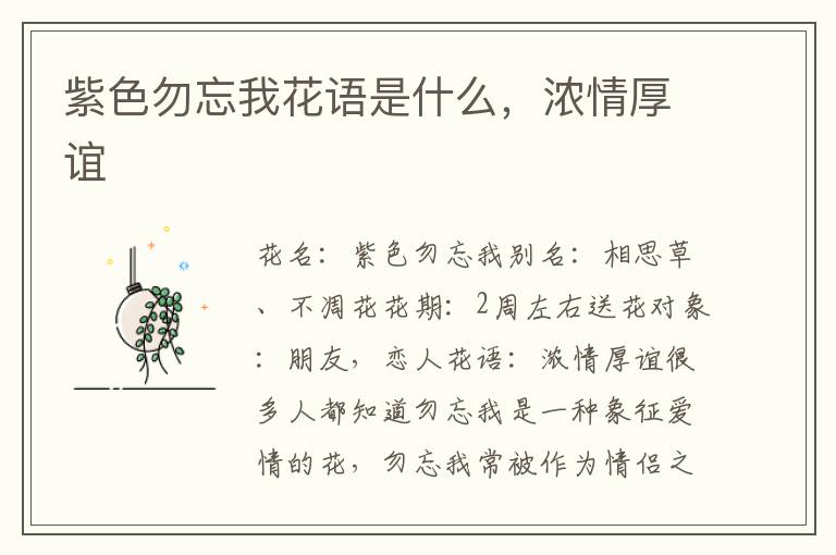 紫色勿忘我花语是什么，浓情厚谊