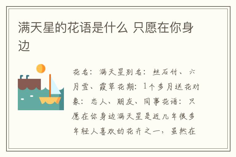 满天星的花语是什么 只愿在你身边