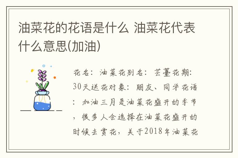 油菜花的花语是什么 油菜花代表什么意思(加油)