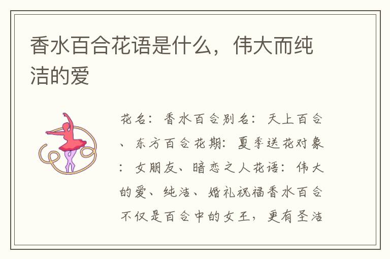 香水百合花语是什么，伟大而纯洁的爱