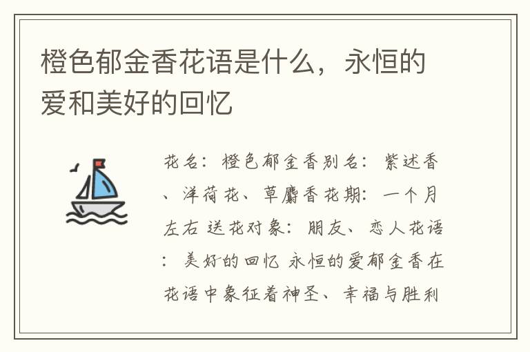 橙色郁金香花语是什么，永恒的爱和美好的回忆