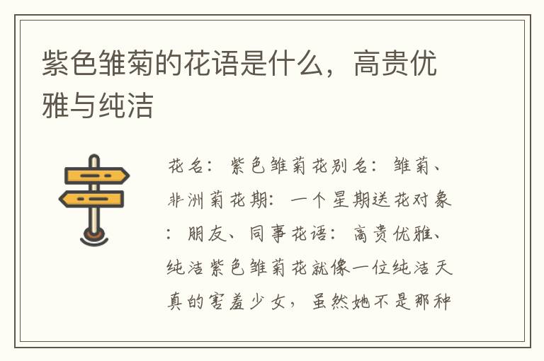 紫色雏菊的花语是什么，高贵优雅与纯洁