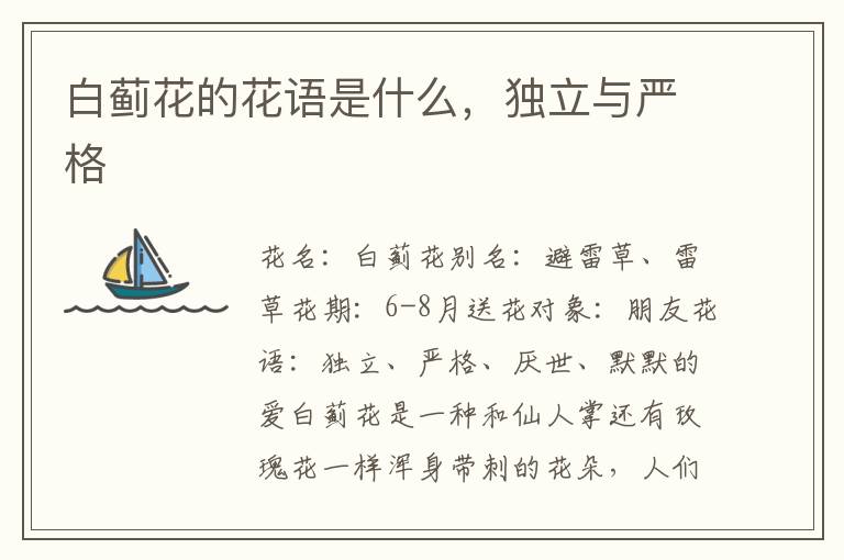 白蓟花的花语是什么，独立与严格