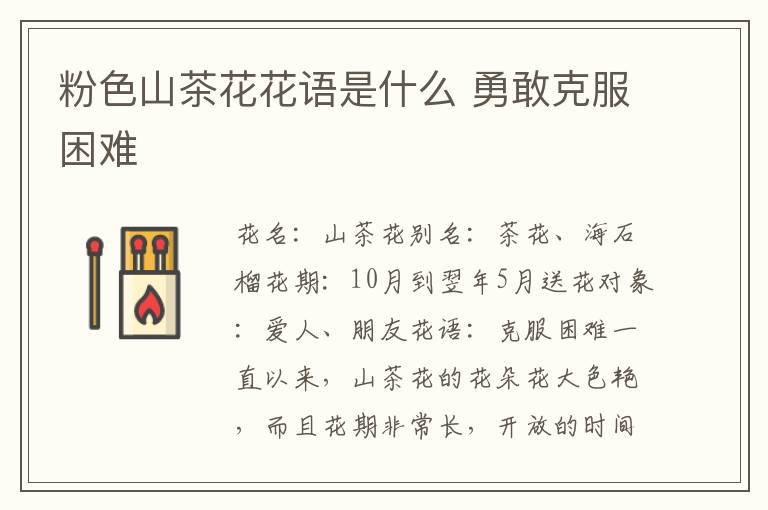 粉色山茶花花语是什么 勇敢克服困难