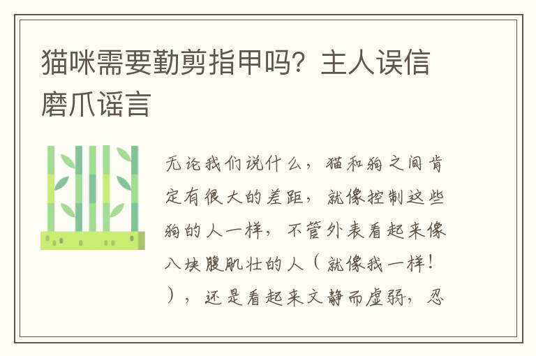 猫咪需要勤剪指甲吗？主人误信磨爪谣言