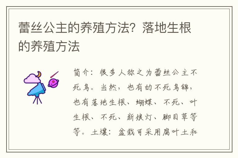蕾丝公主的养殖方法？落地生根的养殖方法