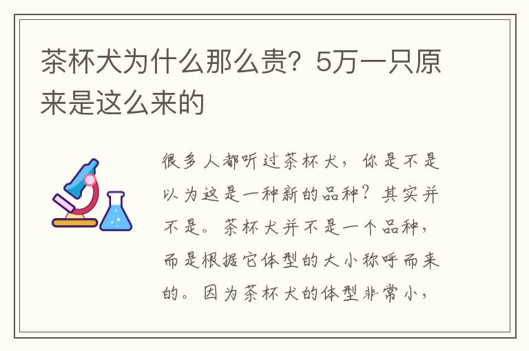 茶杯犬为什么那么贵？5万一只原来是这么来的