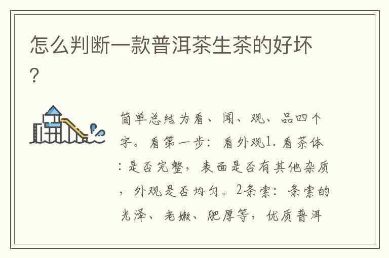 怎么判断一款普洱茶生茶的好坏？