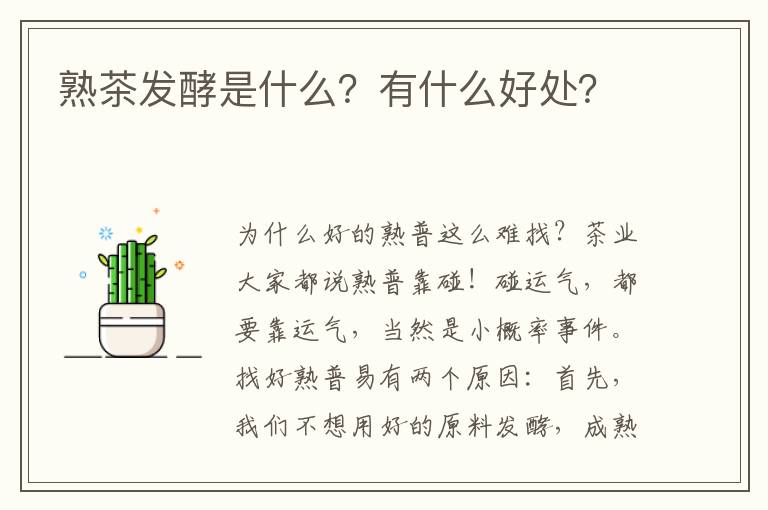 熟茶发酵是什么？有什么好处？