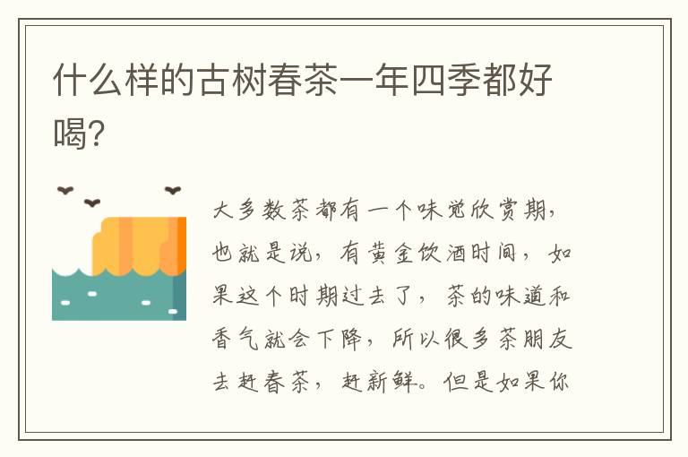 什么样的古树春茶一年四季都好喝？