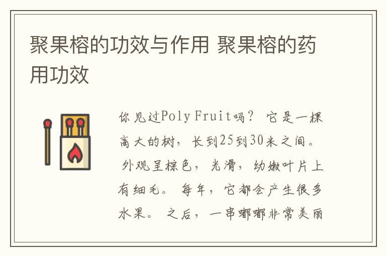 聚果榕的功效与作用 聚果榕的药用功效