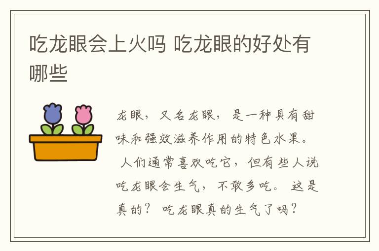 吃龙眼会上火吗 吃龙眼的好处有哪些