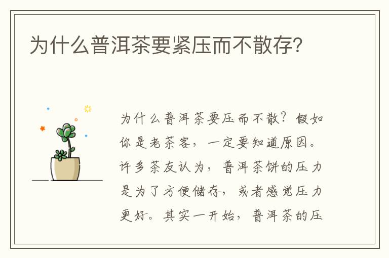 为什么普洱茶要紧压而不散存？