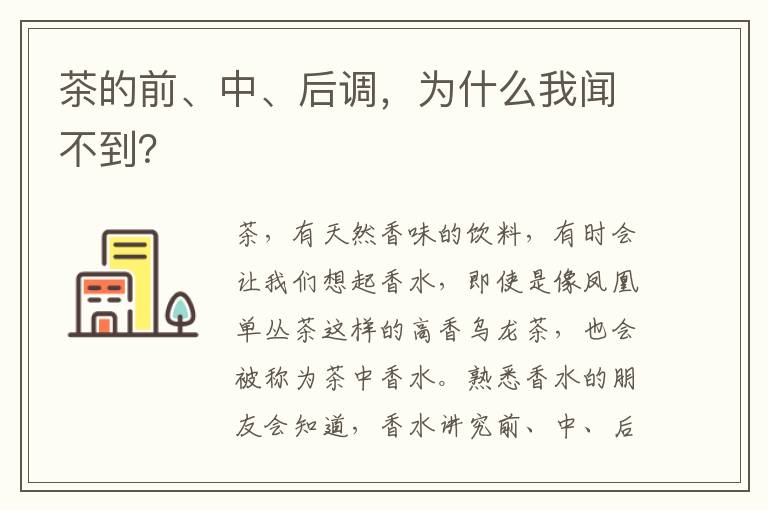 茶的前、中、后调，为什么我闻不到？