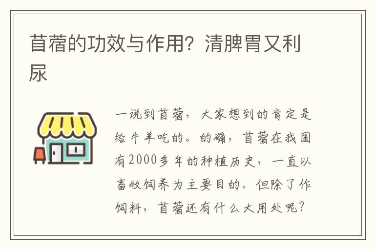 苜蓿的功效与作用？清脾胃又利尿