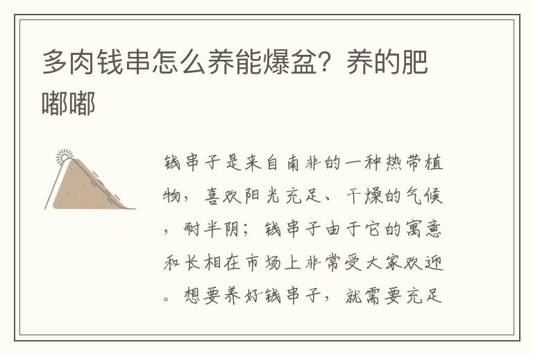 多肉钱串怎么养能爆盆？养的肥嘟嘟