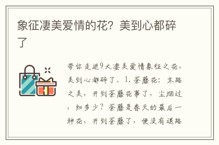 象征凄美爱情的花？美到心都碎了