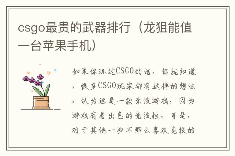 csgo最贵的武器排行（龙狙能值一台苹果手机）