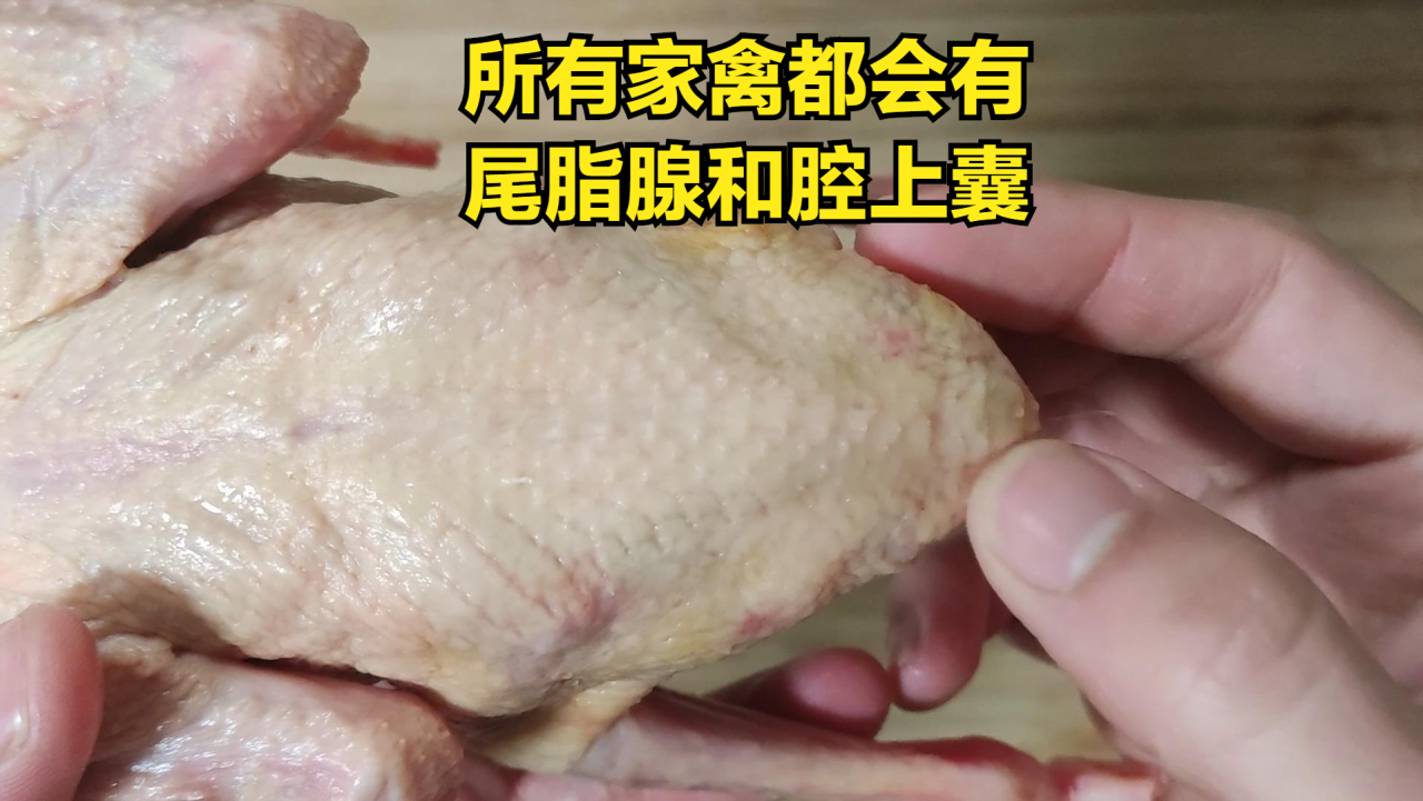 鸽子汤怎么炖好喝又营养（最营养最好吃煲鸽子汤的做法）