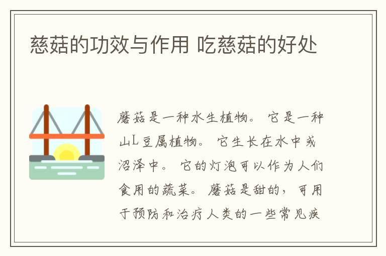 慈菇的功效与作用 吃慈菇的好处