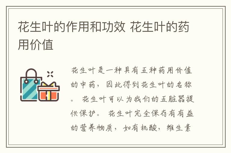花生叶的作用和功效 花生叶的药用价值