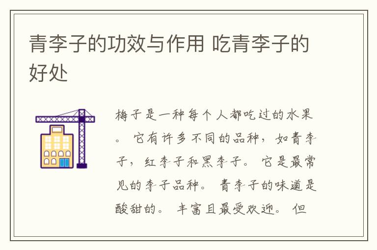 青李子的功效与作用 吃青李子的好处