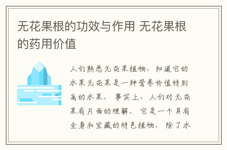 无花果根的功效与作用 无花果根的药用价值