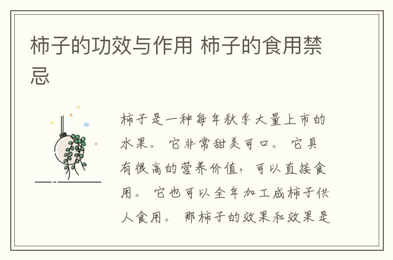 柿子的功效与作用 柿子的食用禁忌
