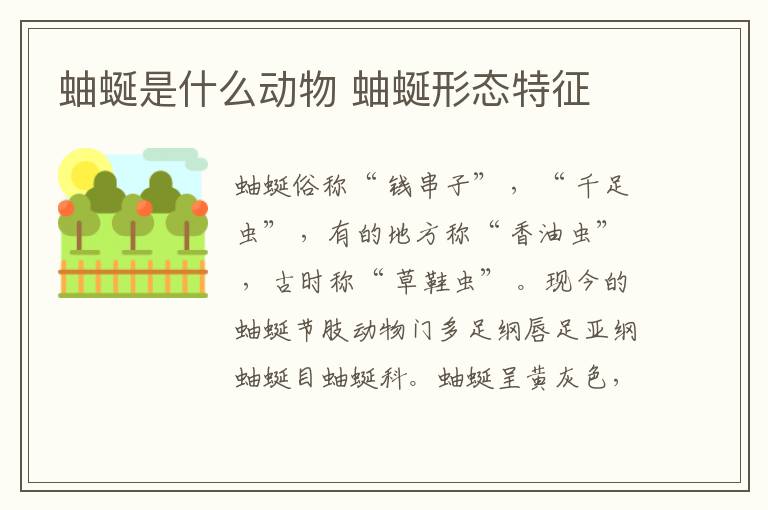 蚰蜒是什么动物 蚰蜒形态特征