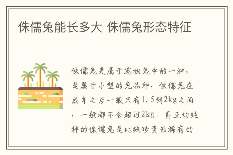 侏儒兔能长多大 侏儒兔形态特征
