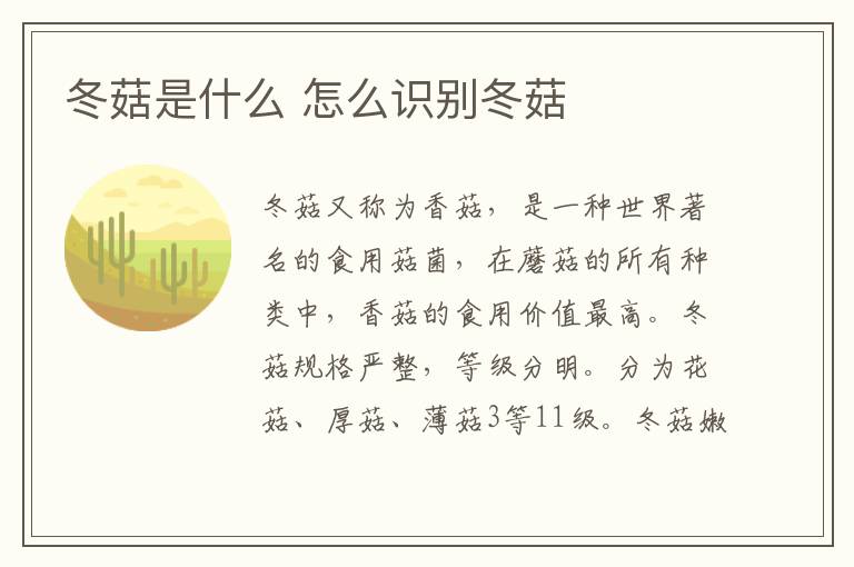 冬菇是什么 怎么识别冬菇
