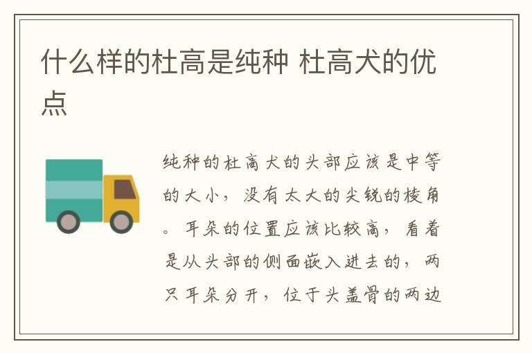 什么样的杜高是纯种 杜高犬的优点