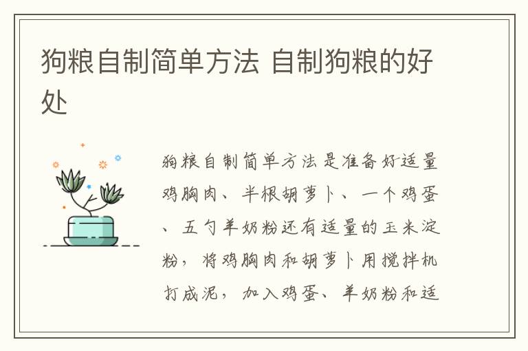 狗粮自制简单方法 自制狗粮的好处