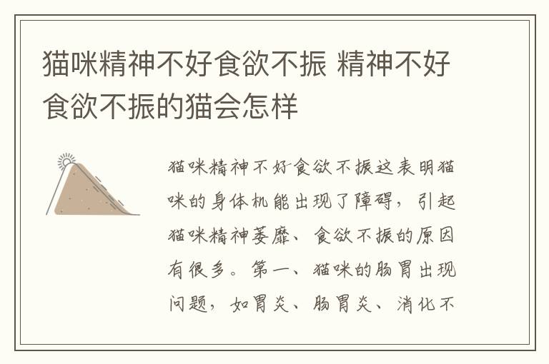 猫咪精神不好食欲不振 精神不好食欲不振的猫会怎样