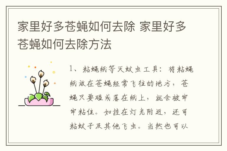 家里好多苍蝇如何去除 家里好多苍蝇如何去除方法
