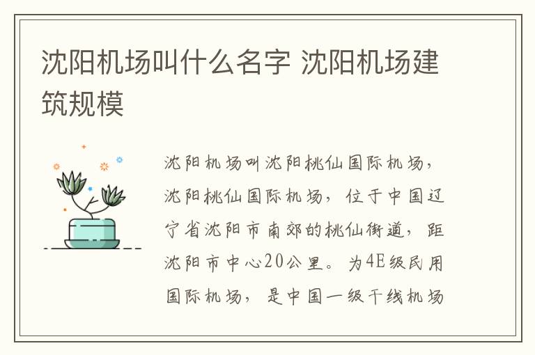 沈阳机场叫什么名字 沈阳机场建筑规模