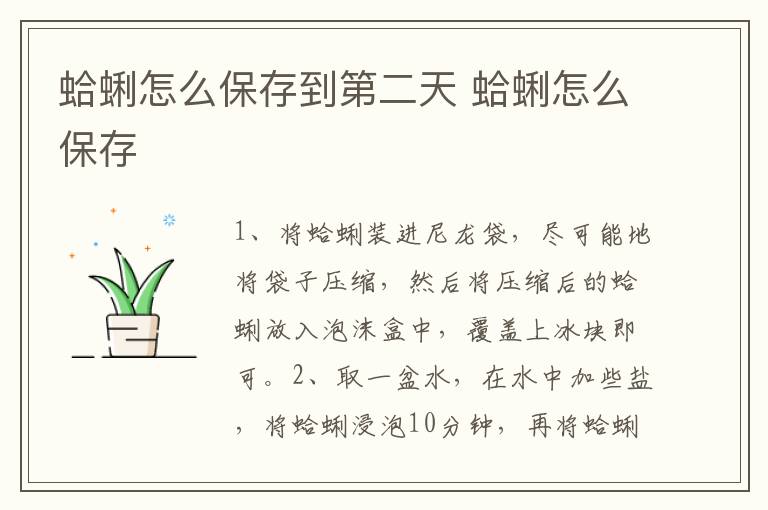 蛤蜊怎么保存到第二天 蛤蜊怎么保存