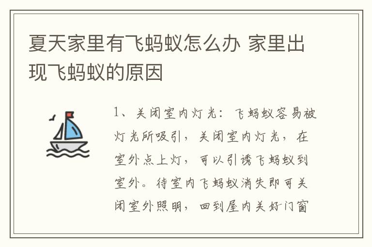 夏天家里有飞蚂蚁怎么办 家里出现飞蚂蚁的原因
