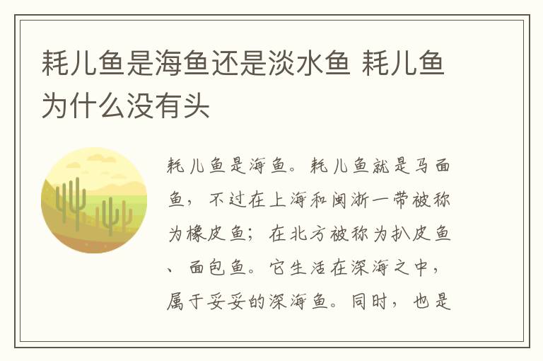 耗儿鱼是海鱼还是淡水鱼 耗儿鱼为什么没有头