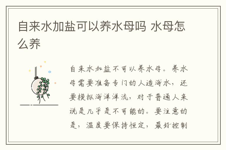 自来水加盐可以养水母吗 水母怎么养